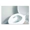 Big D Non-Para Toilet Bowl Block, Lasts 30 Days, White, Evergreen, PK12 066100 - alternate 6